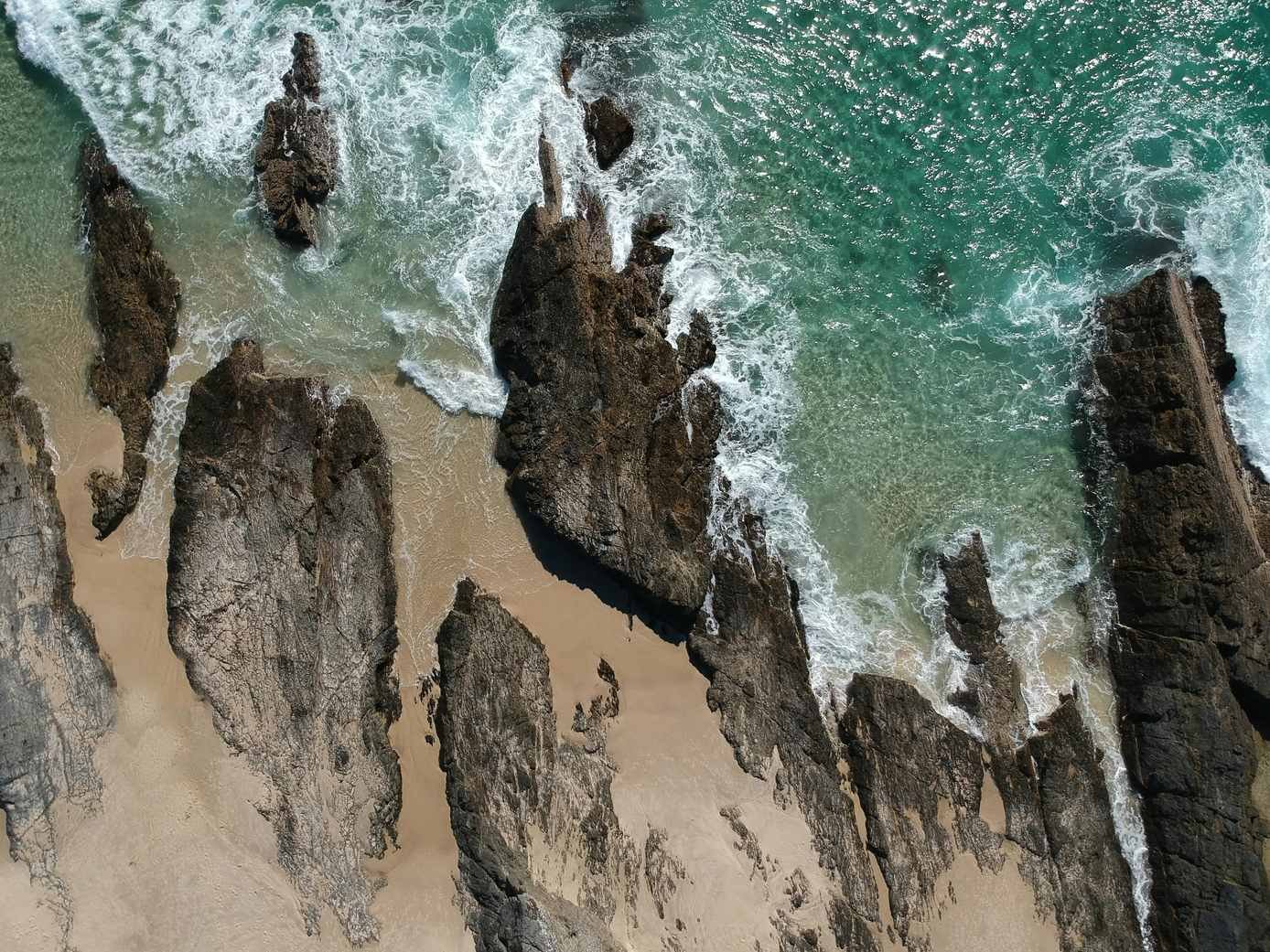 pexels-damodigital-1310006-transformed