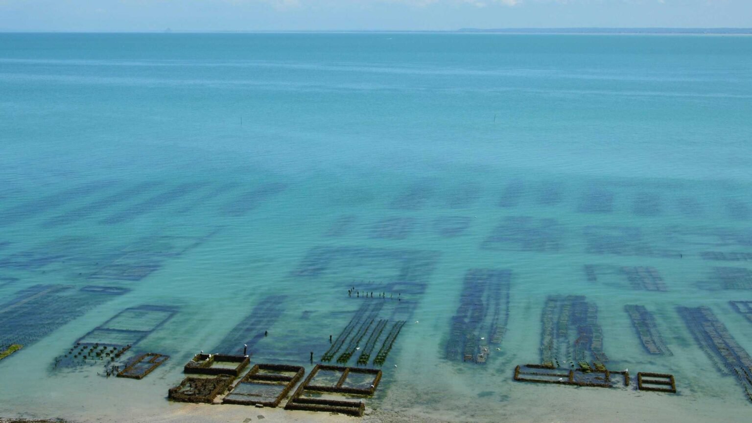 pexels-slimmars-13-197677686-34666036-transformed