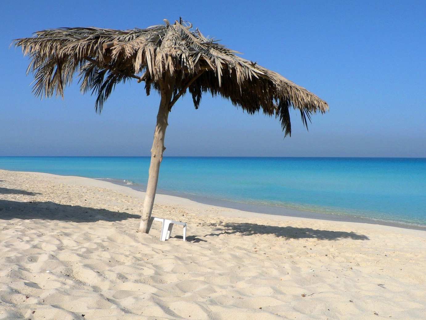 pexels-suphot-punnachaiya-1144432-34657726-transformed